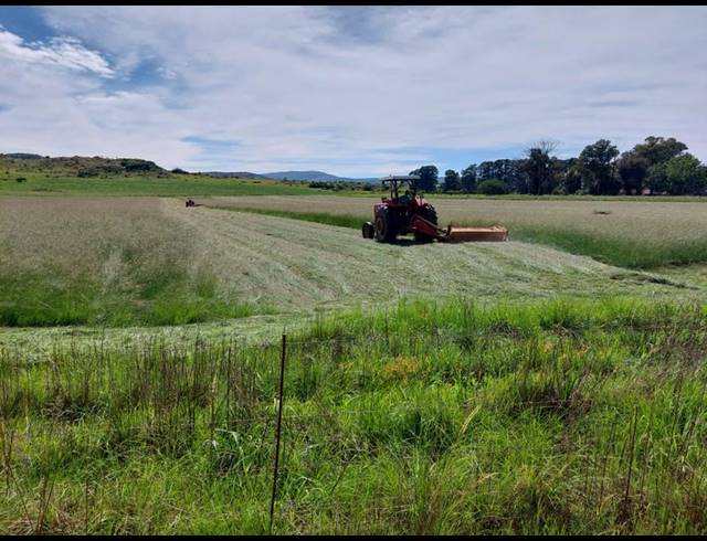 FARM FOR SALE IN ROOSSENEKAL AH